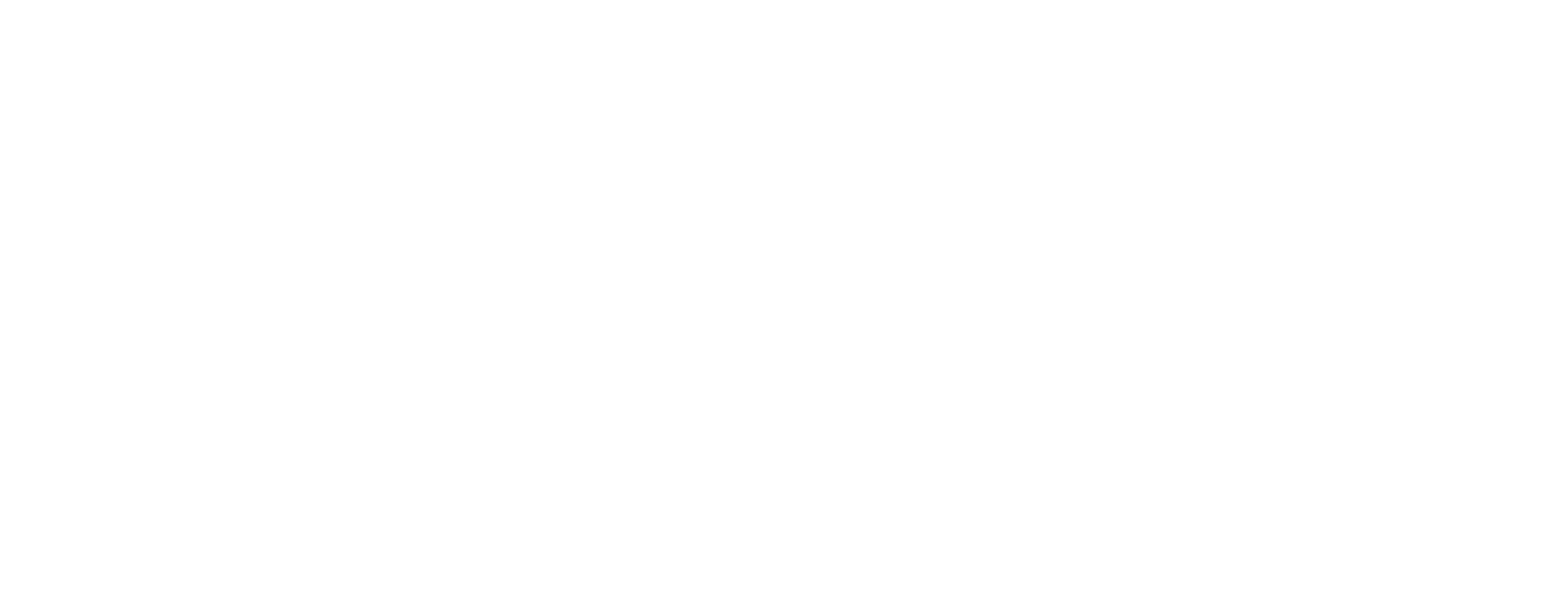 tym-silnicni-bezpecnosti-logo-white-var-b.png